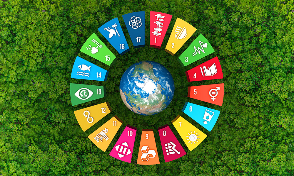 UN-Sustainable-Development-Goals_1000x600.jpg