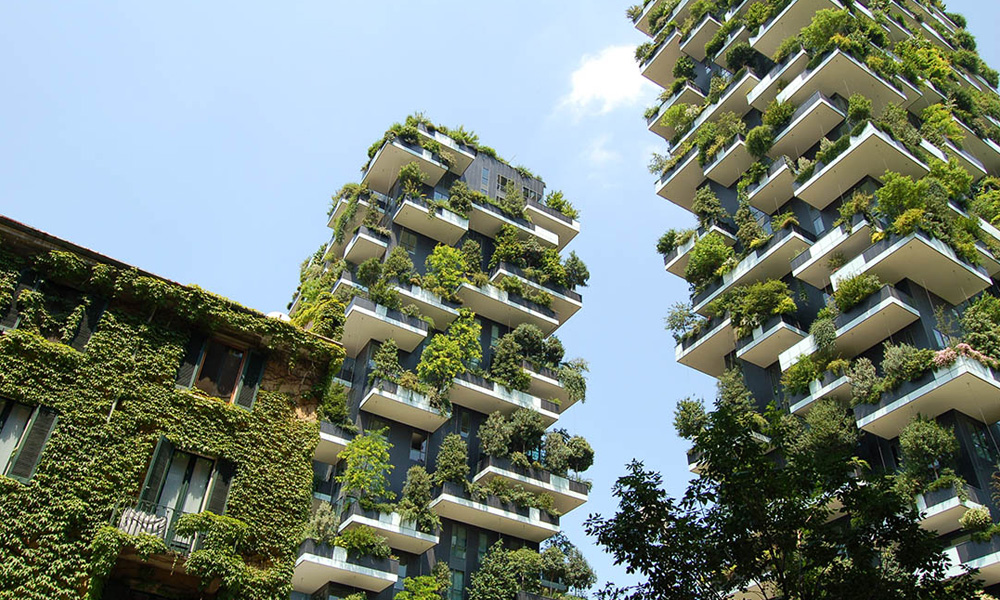 Sustainable.jpg