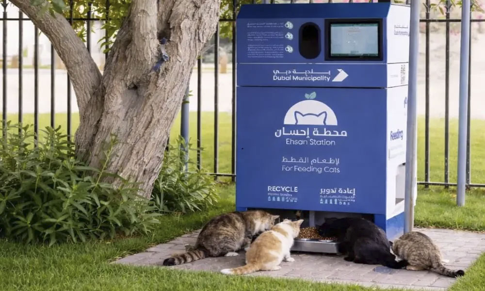 Dubai-Municipality-launches-‘Ehs.jpg